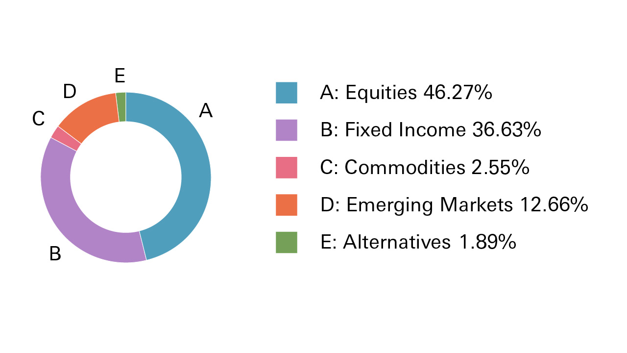 Equities 46.27%, Fixed Income 36.63%, Commodities 2.55%, Emerging Markets 12.66%, Alternatives 1.89%