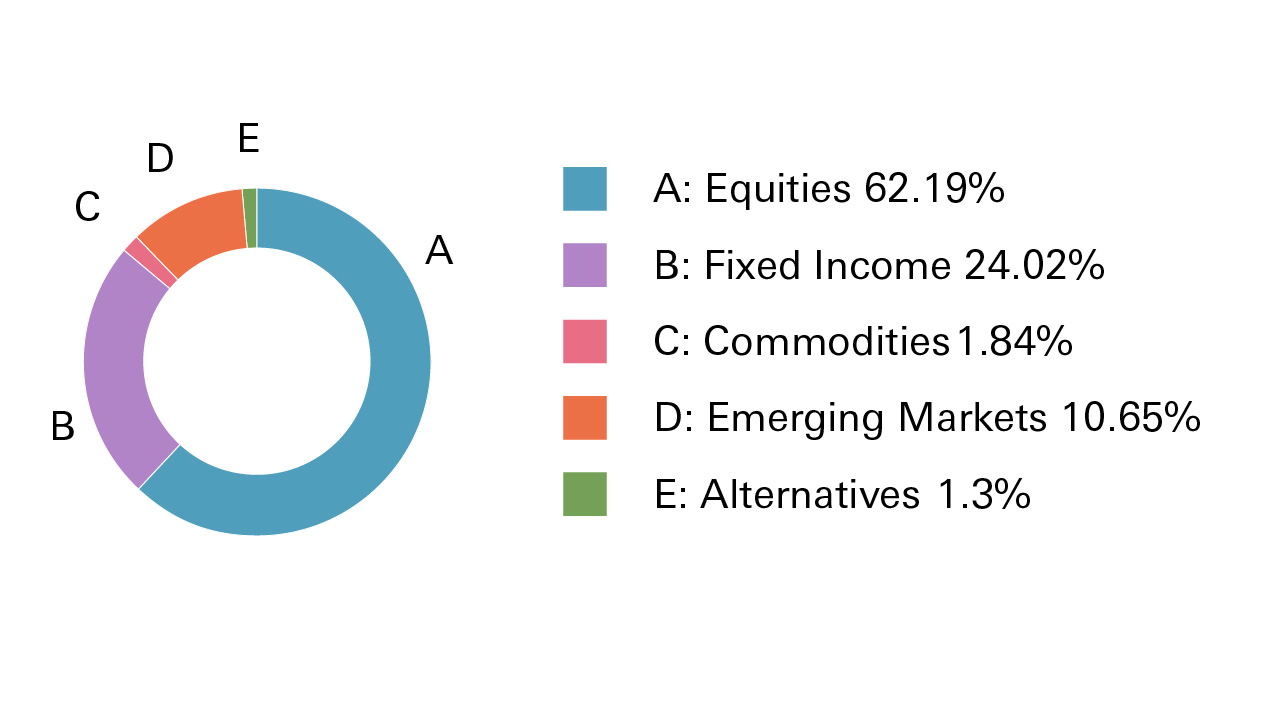 Equities 62.19%, Fixed Income 24.02%, Commodities 1.84%, Emerging Markets 10.65%, Alternatives 1.3%