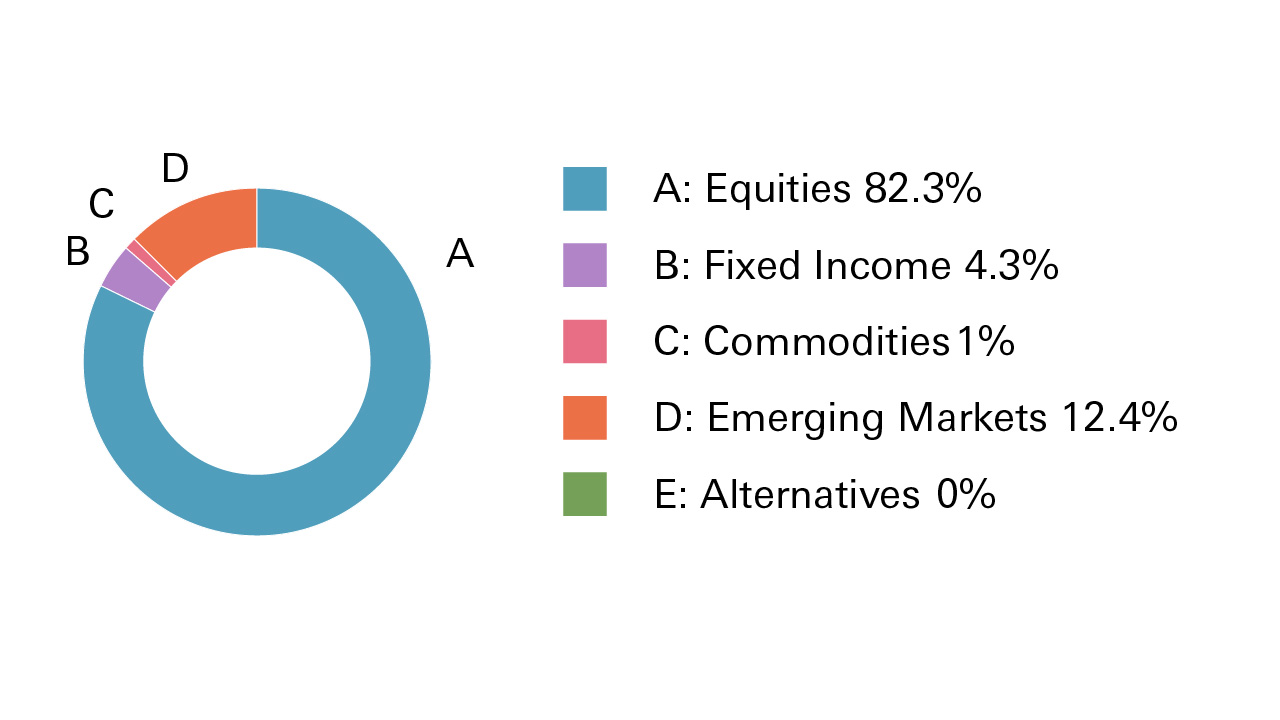 Equities 82.3%, Fixed Income 4.3%, Commodities 1%, Emerging Markets 12.4%, Alternatives 0%