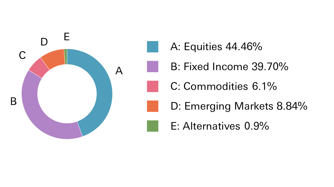 Equities 44.46%, Fixed Income 39.70%, Commodities 6.1%, Emerging Markets 8.84%, Alternatives 0.9%