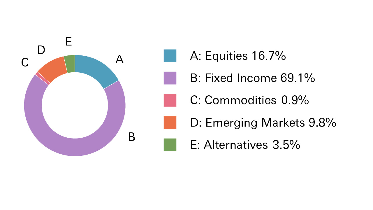 Equities 16.7%, Fixed Income 69.1%, Commodities 0.9%, Emerging Markets 9.8%, Alternatives 3.5%