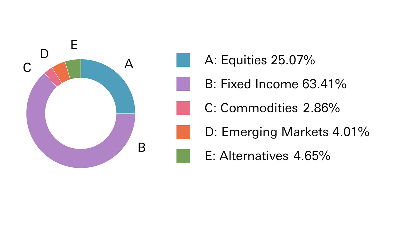 Equities 82.3%, Fixed Income 4.3%, Commodities 1%, Emerging Markets 12.4%, Alternatives 0%